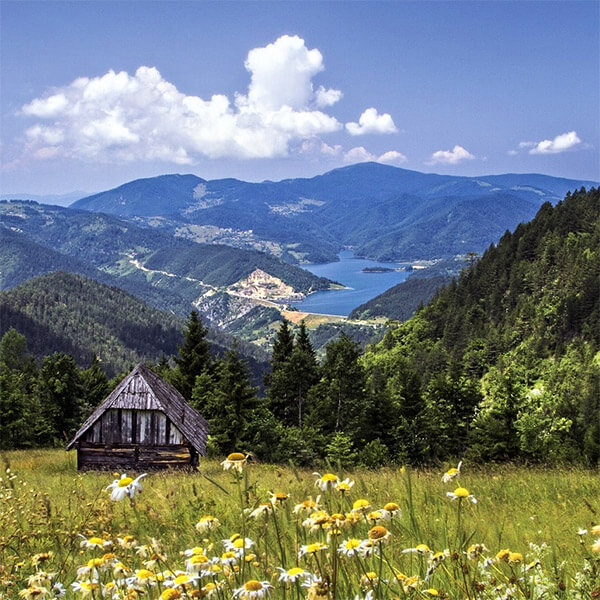 zaovine pogled